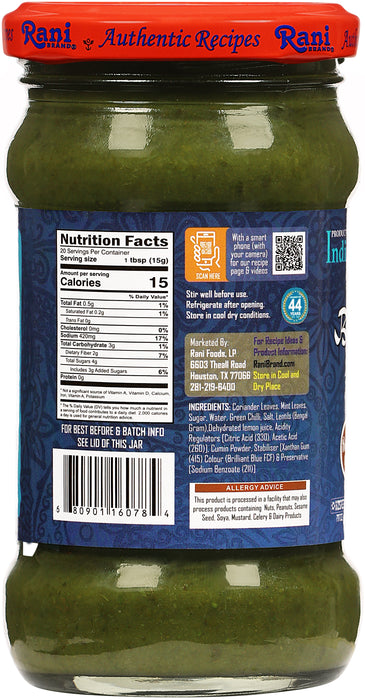 Rani Bombay Sandwich Spread, Mild (Mint & Coriander) 10.5oz (300g) Glass Jar, Ready to Eat ~ Vegan | Gluten Free | NON-GMO | Kosher | Indian Origin