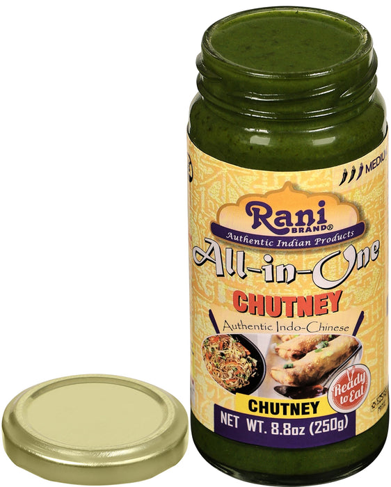 Rani Indo-Chinese Sauces and Chutneys {6 Styles Available}