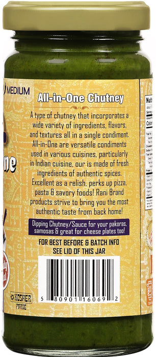 Rani Indo-Chinese Sauces and Chutneys {6 Styles Available}