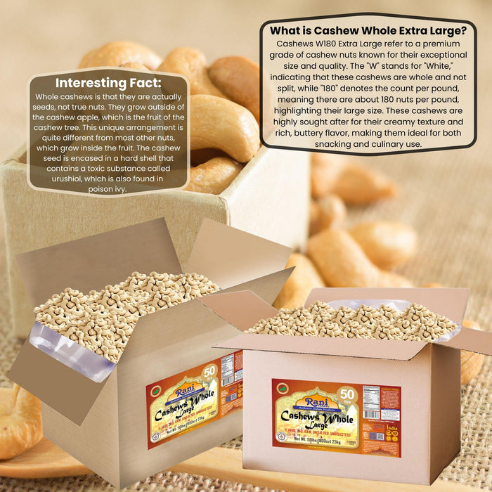 Rani Raw Cashews Whole W240 Large (uncooked, unsalted) 800oz (50lbs) 23kg Vacuum Packed, Bulk Box ~ All Natural, No Preservatives | Vegan | NON-GMO | Kosher | Gluten Friendly
