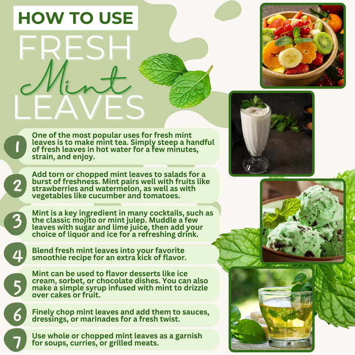 Rani Fresh Mint (Pudina) Leaves 1.5oz - 2oz, Pack of 1 ~ All Natural | Vegan | Gluten Friendly | NON-GMO | Product of USA