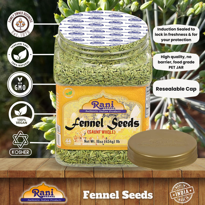Rani Fennel Seeds (Saunf Sabut) Whole Spice 16oz (1lb) 454g PET Jar ~ All Natural | Gluten Friendly | NON-GMO | Vegan | Kosher | Indian Origin
