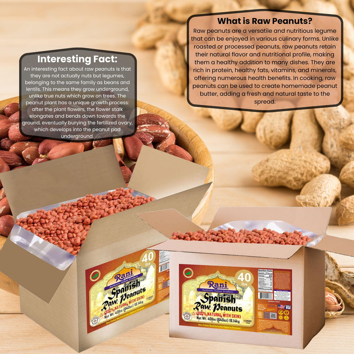Rani Raw Spanish Peanuts 100% Natural with Skin (uncooked, unsalted) 40lbs (640oz) 18.14kg Bulk Box ~ Vegan | Gluten Friendly | Fresh Product of USA | Kosher | Red-brown Skin