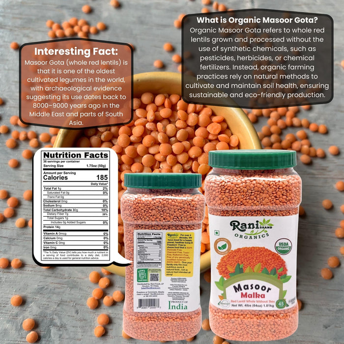 Rani Organic Masoor Gota (Football) Indian Red Lentils Skinless 64oz (4lbs) 1.81kg Bulk ~ All Natural | Gluten Friendly | NON-GMO | Kosher | Vegan | Product of USA
