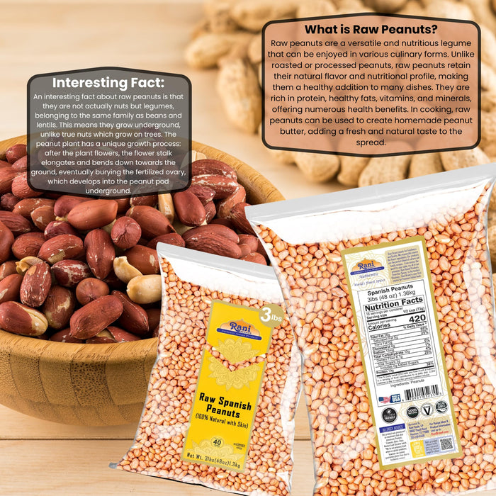 Rani Raw Spanish Peanuts 100% Natural with Skin (uncooked, unsalted) 48oz (3lbs) 1.36kg Bulk ~ Vegan | Gluten Friendly | Fresh Product of USA | Kosher | Red-brown Skin