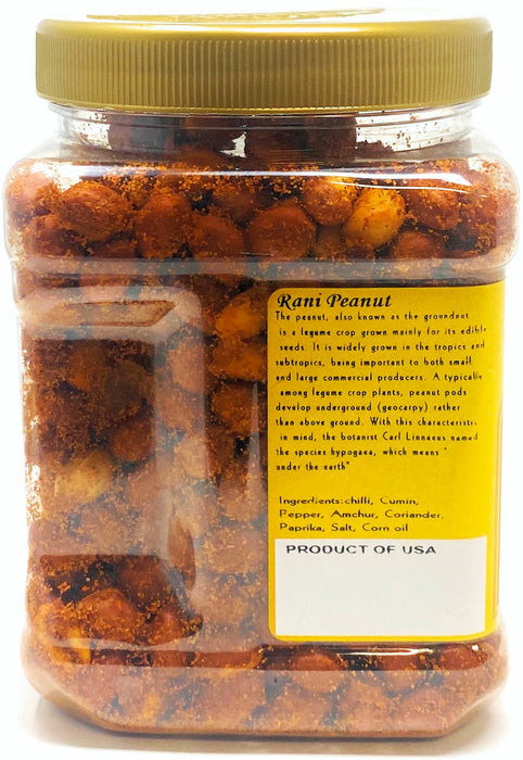Rani Roasted Masala Peanuts 14oz (400g) PET Jar ~ Freshly Made | All Natural | Gluten Friendly | Product of USA ~ Spanish Grade Groundnut