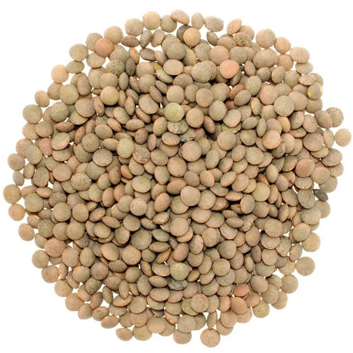 Rani Desi Masoor (Masur) Whole 400oz (25lbs) 11.36kg (aka. Pardina Spanish / American Brown Lentils Whole) Bulk Box ~ All Natural | Vegan | Gluten Friendly | Product of USA