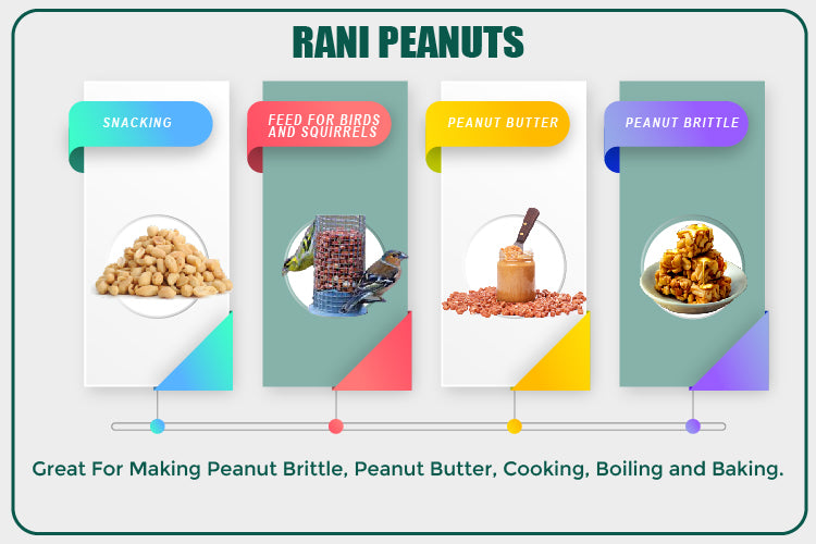 Rani Peanuts, Raw Whole With Skin (uncooked, unsalted) 25lbs (400oz) 11.36g Bulk Box ~ All Natural | Vegan | Gluten Friendly | Fresh Product of USA