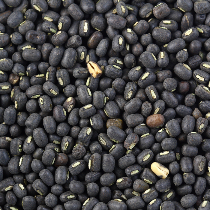 Rani Urid/Urad Whole Black (Matpe Beans with Skin) Indian Lentils 400oz (25lbs) 11.36kg Bulk Box ~ All Natural | Gluten Friendly | NON-GMO | Vegan | Indian Origin