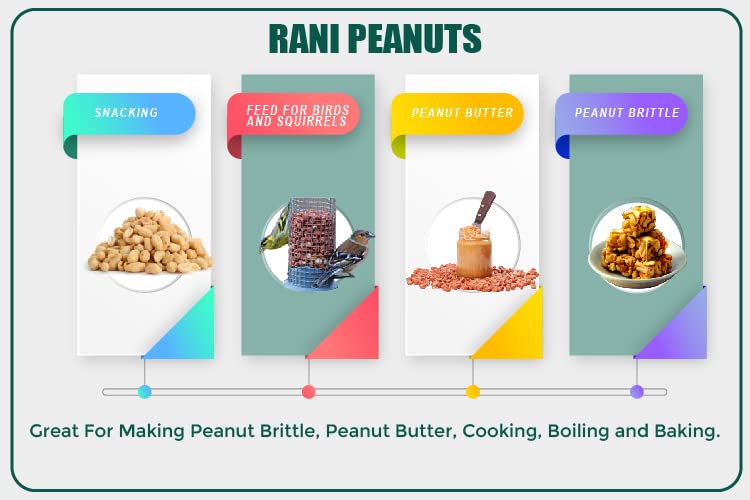 Rani Organic Peanuts, Raw Whole With Skin (uncooked, unsalted) 14oz (400g) ~ All Natural | Vegan | Gluten Friendly | Fresh Product of USA | USDA Certified Organic ~ Spanish Grade Groundnut / Red-skin