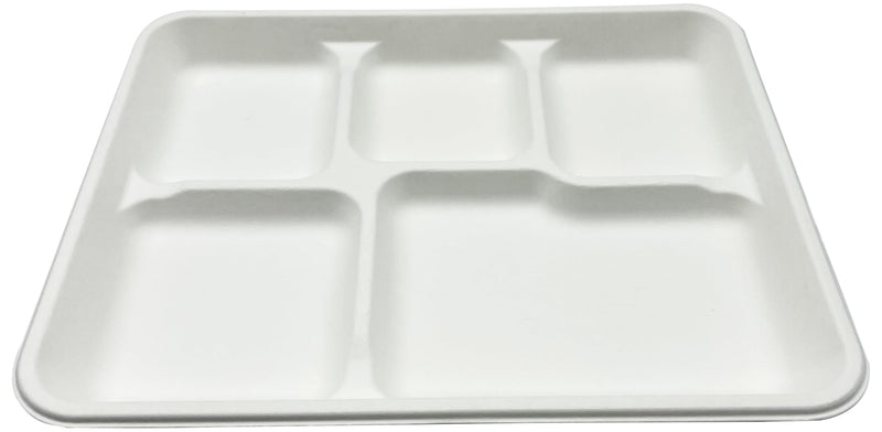Rani 5 Compartment Square Biodegradable Divided Plates, Pack of 250 ~ Party, Thali, Buffet | Disposable & Eco-Friendly | Heavy-Duty Sturdy Paper Bagasse | Premium Quality | 10.24" x 8.27" x 0.91"