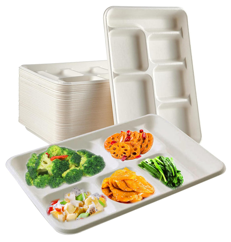 Rani 6 Compartment Square Biodegradable Divided Plates, Pack of 1000 ~ Party, Thali, Buffet | Disposable & Eco-Friendly | Heavy-Duty Sturdy Paper Bagasse | Premium Quality | 12.5" x 8.5" x 1.10"