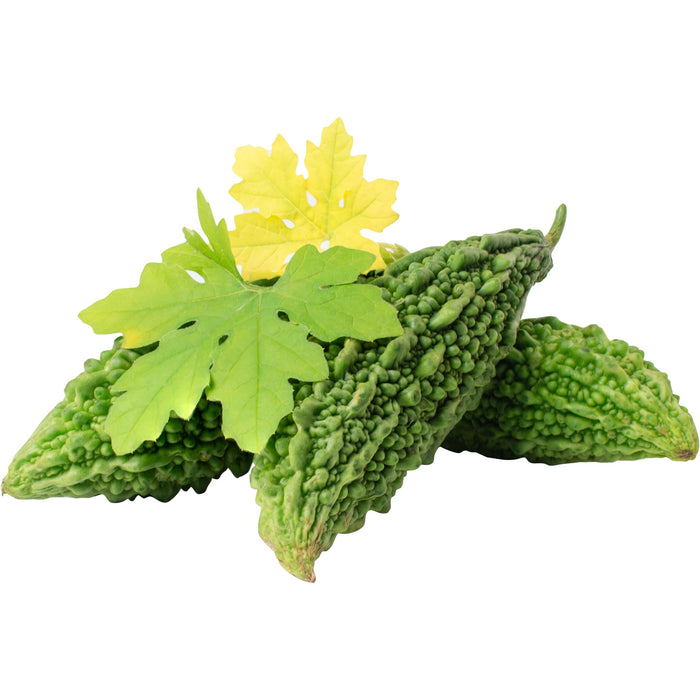 Rani Fresh Bitter Melon 32oz (2lbs) 908g Bulk ~ All Natural | Gluten Friendly | Vegan | NON-GMO | Product of USA