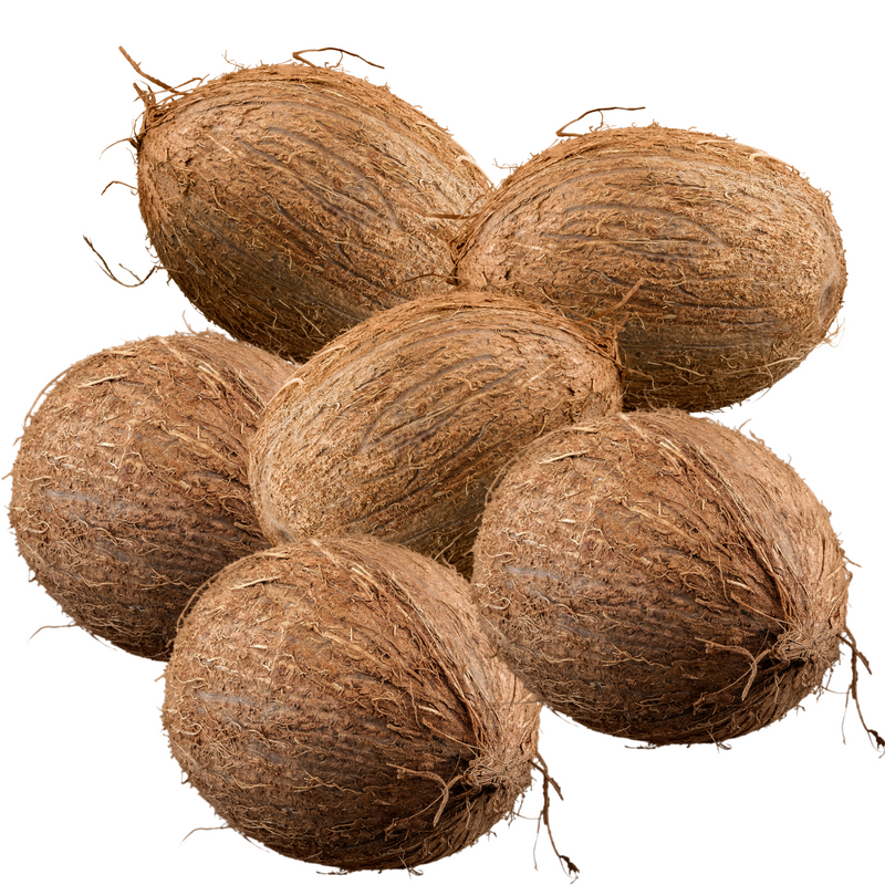 Rani Coconut (Copra) Whole Brown with Water, 6 Pieces, Approx. 1.5lbs each ~ Fresh Fruit | 100% Natural | Vegan