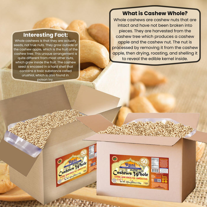 Rani Raw Cashews Whole (uncooked, unsalted) 800oz (50lbs) 23kg Vacuum Packed, Bulk Box ~ All Natural, No Preservatives | Vegan | NON-GMO | Kosher | Gluten Friendly