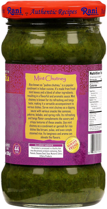 Rani Mint Chutney (Podina) 10.5oz (300g) Glass Jar, Ready to Eat ~ Vegan | Gluten Free | NON-GMO | Kosher | No Colors | Indian Origin
