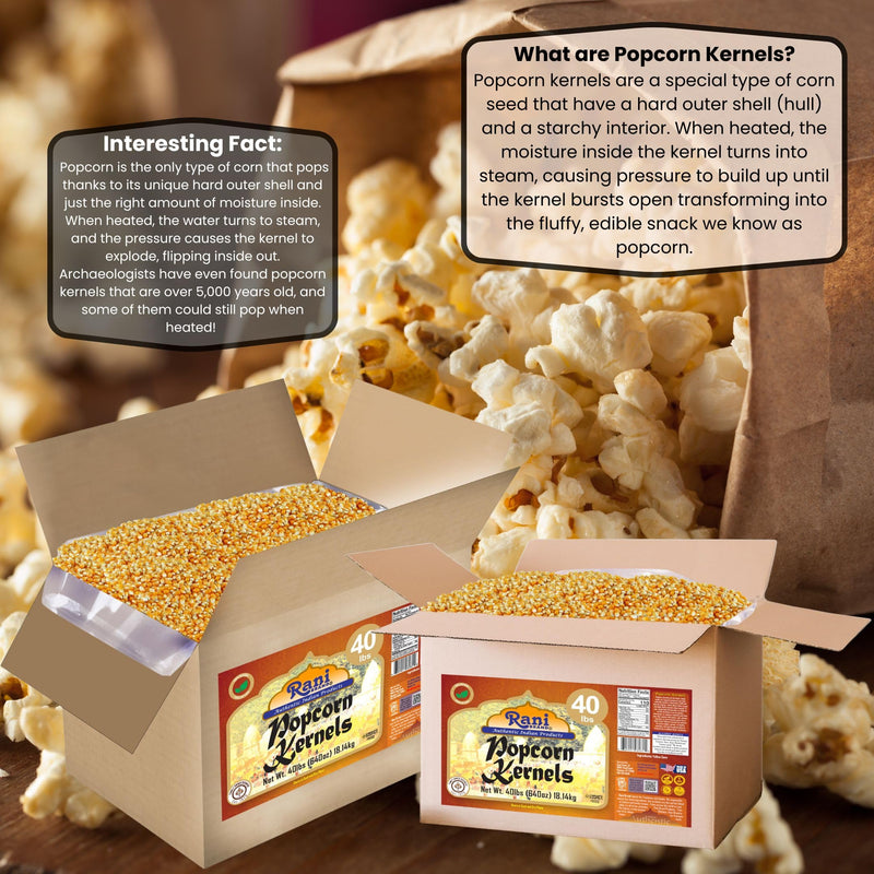 Rani Popcorn Kernels 40lbs (640oz) 18.14kg Bulk Box, Perfect for Stovetop, Microwave & Popcorn Machines ~ All Natural | Gluten Friendly | Vegan | NON-GMO | Kosher | Product of USA