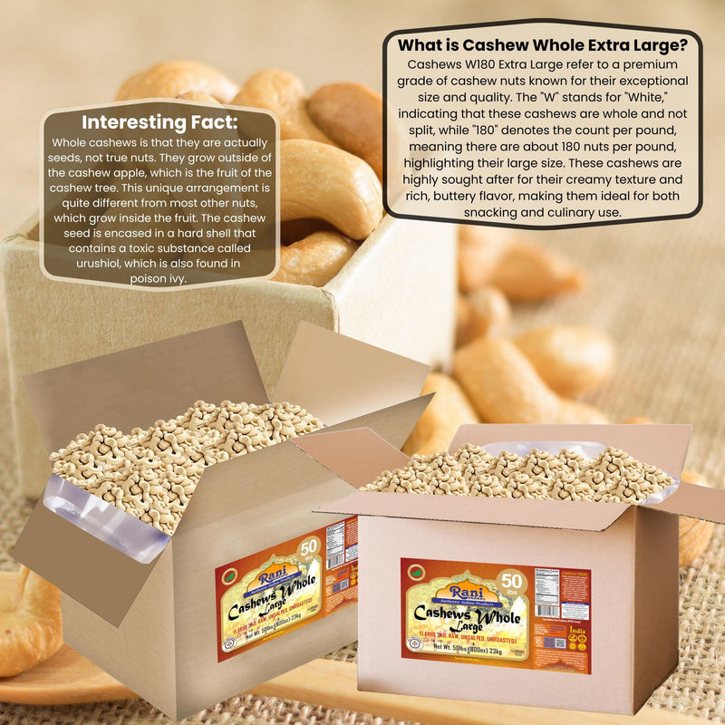 Rani Raw Cashews Whole W240 Large (uncooked, unsalted) 800oz (50lbs) 23kg Vacuum Packed, Bulk Box ~ All Natural, No Preservatives | Vegan | NON-GMO | Kosher | Gluten Friendly