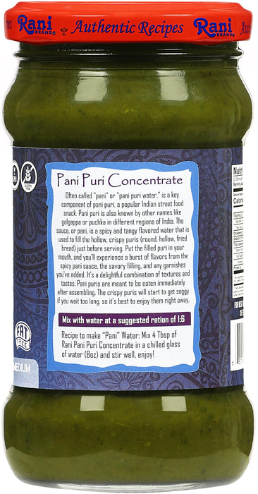 Rani Pani Puri Concentrate (Sweet & Spicy to Make Pani Water / Spicy Water) 10.5oz (300g) Glass Jar, Ready to Eat ~ Vegan | Gluten Free | NON-GMO | Kosher