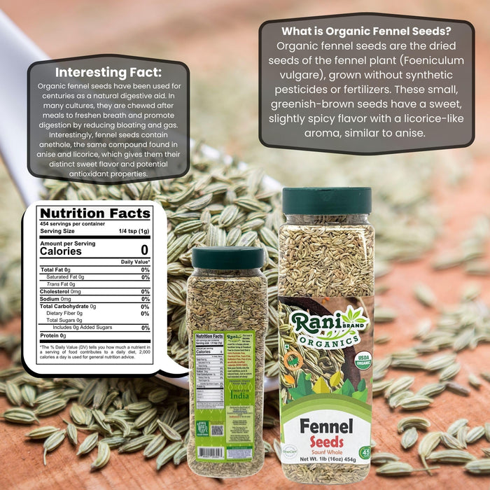 Rani Organic Fennel Seeds (Saunf Sabut) Whole Spice 16oz (1lb) 454g PET Jar ~ All Natural | Vegan | Gluten Friendly | NON-GMO | Kosher | Indian Origin | USDA Certified Organic