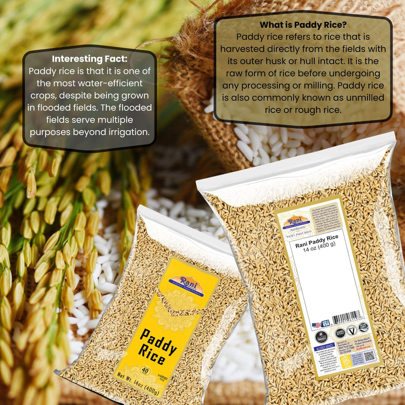 Rani Paddy Rice (Raw Unfinished Rice) 14oz (400g) ~ All Natural | Vegan | Gluten Friendly | NON-GMO | Kosher | Product of USA