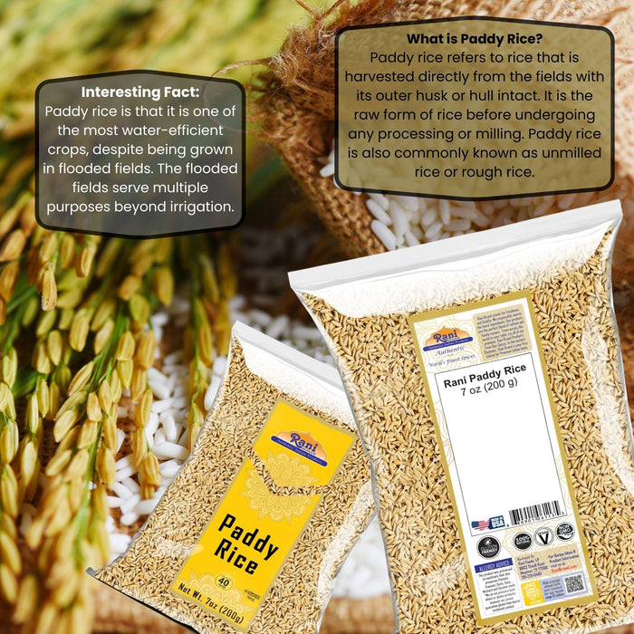 Rani Paddy Rice (Raw Unfinished Rice) 7oz (200g) ~ All Natural | Vegan | Gluten Friendly | NON-GMO | Kosher | Product of USA
