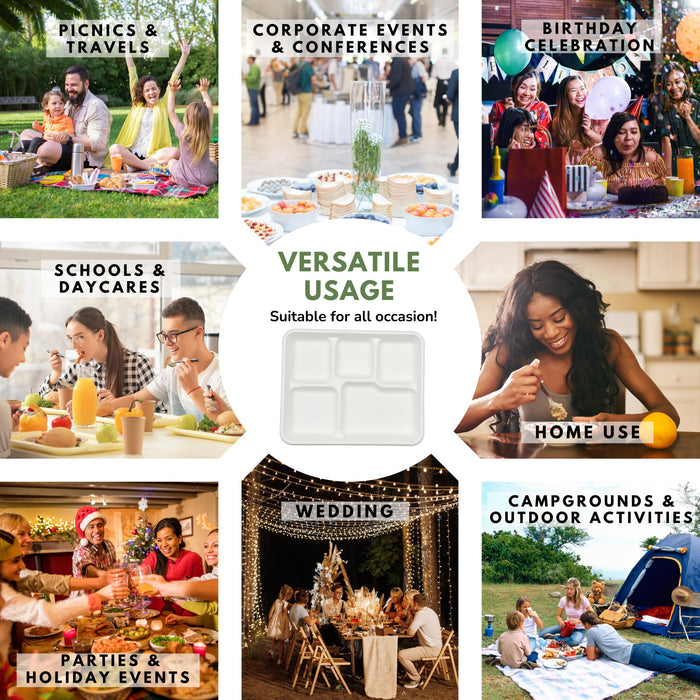 Rani 5 Compartment Square Biodegradable Divided Plates, Pack of 250 ~ Party, Thali, Buffet | Disposable & Eco-Friendly | Heavy-Duty Sturdy Paper Bagasse | Premium Quality | 10.24" x 8.27" x 0.91"