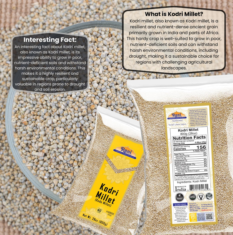 Rani Kodri (Polished Kodo Millet Seeds) Ancient Grains 800g (28oz) ~ All Natural | Gluten Friendly | NON-GMO | Kosher | Vegan | Indian Origin (Varagu / Kodra / Harka)