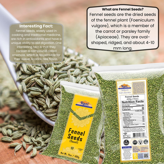 Rani Fennel Seeds (Saunf Sabut) Whole Spice 14oz (400g) All Natural ~ Gluten Friendly | NON-GMO | Kosher | Vegan | Indian Origin
