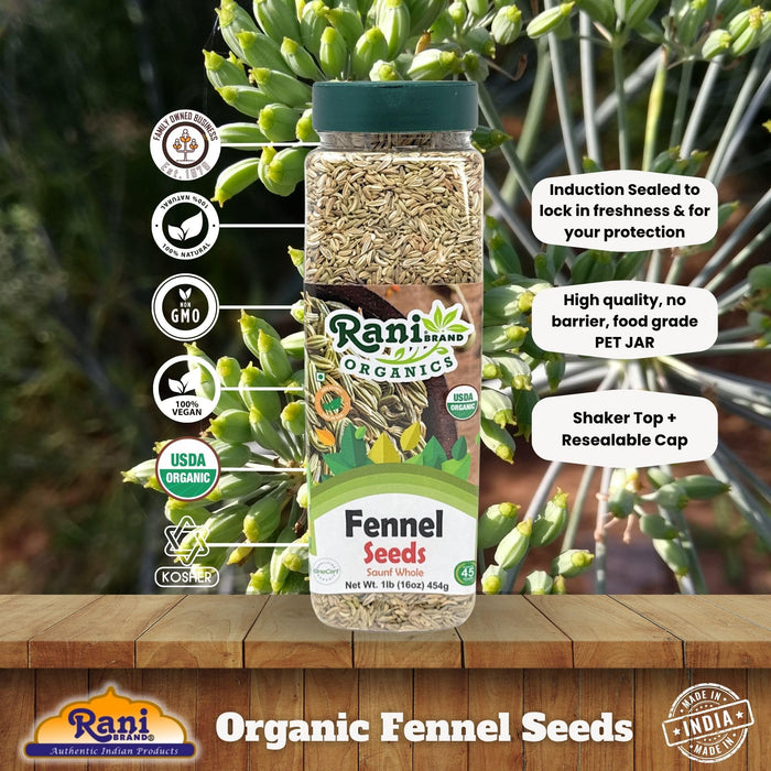Rani Organic Fennel Seeds (Saunf Sabut) Whole Spice 16oz (1lb) 454g PET Jar ~ All Natural | Vegan | Gluten Friendly | NON-GMO | Kosher | Indian Origin | USDA Certified Organic