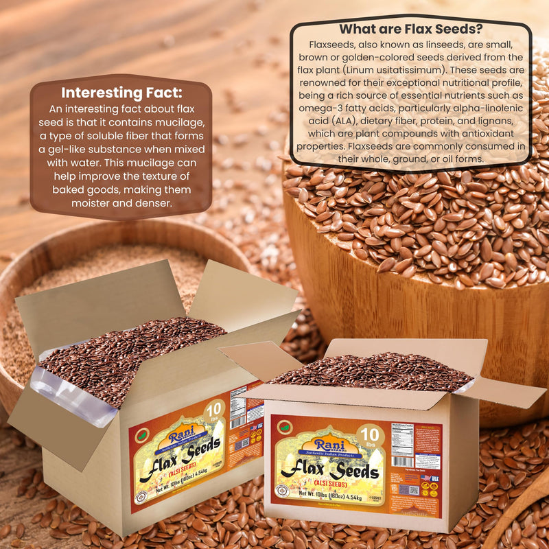 Rani Flax Seeds Whole Raw (Alsi, Linum usitatissimum) 160oz (10lbs) 4.54kg Bulk Box ~ All Natural | Gluten Friendly | Non-GMO | Kosher | Vegan | Indian Origin
