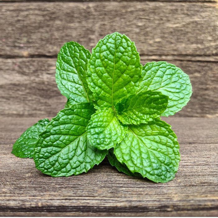 Rani Fresh Mint (Pudina) Leaves 1.5oz - 2oz, Pack of 1 ~ All Natural | Vegan | Gluten Friendly | NON-GMO | Product of USA