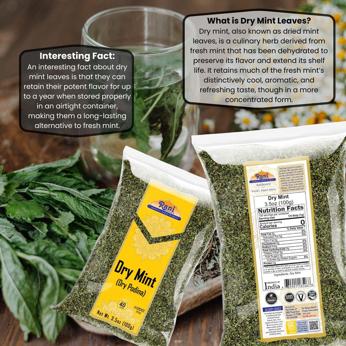 Rani Dry Mint Leaves (Podina Leaf) Spice, Dried Herb 3.5oz (100g) ~ All Natural | Gluten Friendly | NON-GMO | Kosher | Vegan | Indian Origin