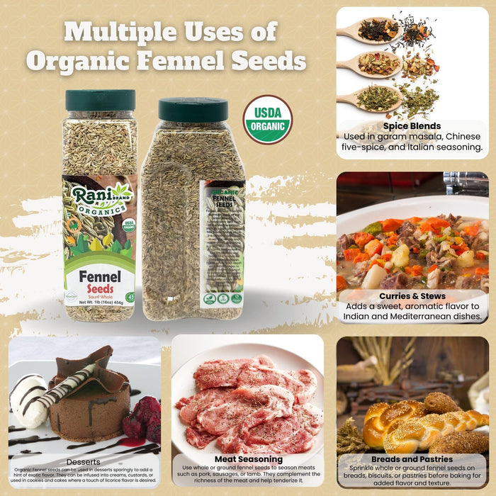 Rani Organic Fennel Seeds (Saunf Sabut) Whole Spice 16oz (1lb) 454g PET Jar ~ All Natural | Vegan | Gluten Friendly | NON-GMO | Kosher | Indian Origin | USDA Certified Organic