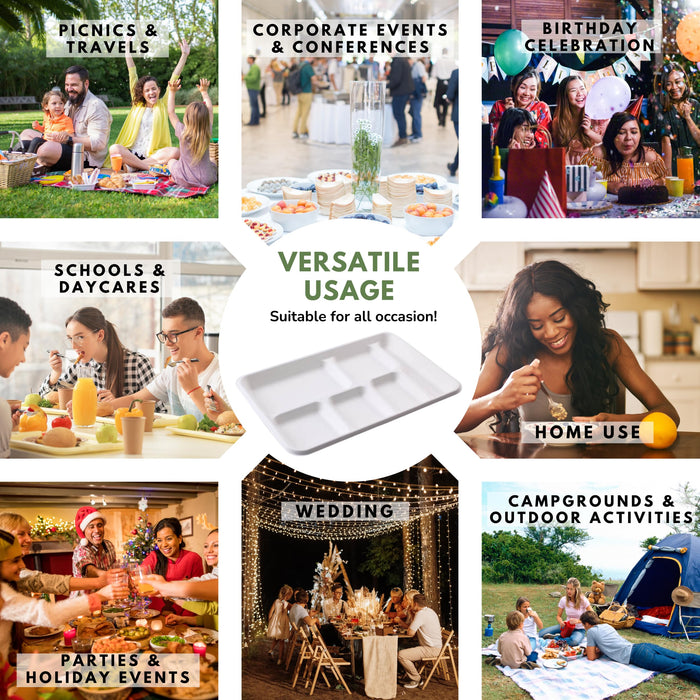 Rani 6 Compartment Square Biodegradable Divided Plates, Pack of 250 ~ Party, Thali, Buffet | Disposable & Eco-Friendly | Heavy-Duty Sturdy Paper Bagasse | Premium Quality | 12.5" x 8.5" x 1.10"