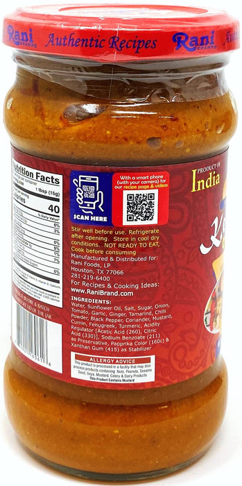 Rani Kebab Masala Paste for Meat Dishes 10.5oz (300g) Glass Jar, Pack of 5+1 FREE ~ No Colors | All Natural | NON-GMO | Vegan | Gluten Free