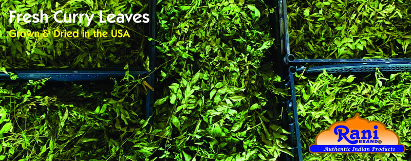 Rani Fresh Curry Leaves 3oz (Pack of 3 x 1oz) ~All Natural | Vegan | Gluten Friendly | NON-GMO