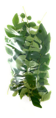 Rani Fresh Curry Leaves 1oz
