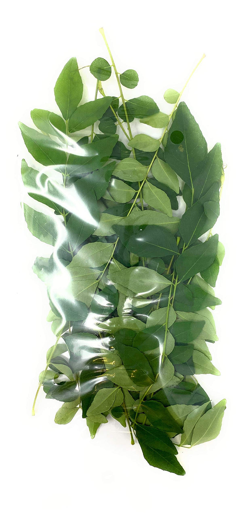 Rani Fresh Curry Leaves 1oz
