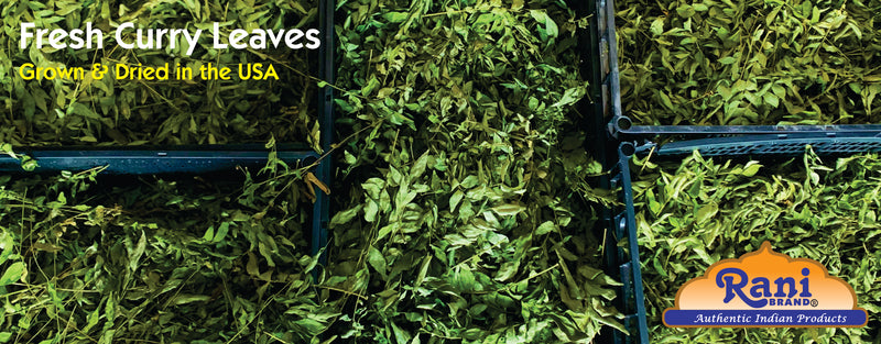 Rani Fresh Curry Leaves 1 Ounce (Pack of 3)