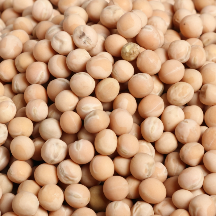 Rani Yellow Peas Whole, Dried (Vatana, Matar) 400oz (25lbs) 11.36kg Bulk Box ~ All Natural | Vegan | Gluten Friendly | Product of USA